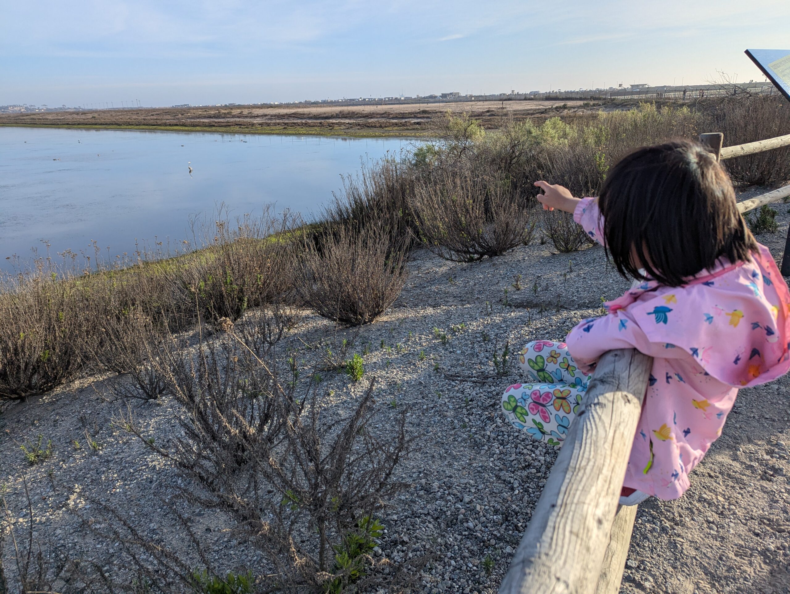 The Myth of the Lonely Homeschool Child